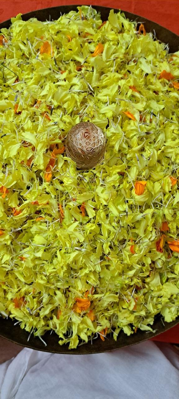 WhatsApp Image 2025-04-21 at 1.25.02 PM (1)